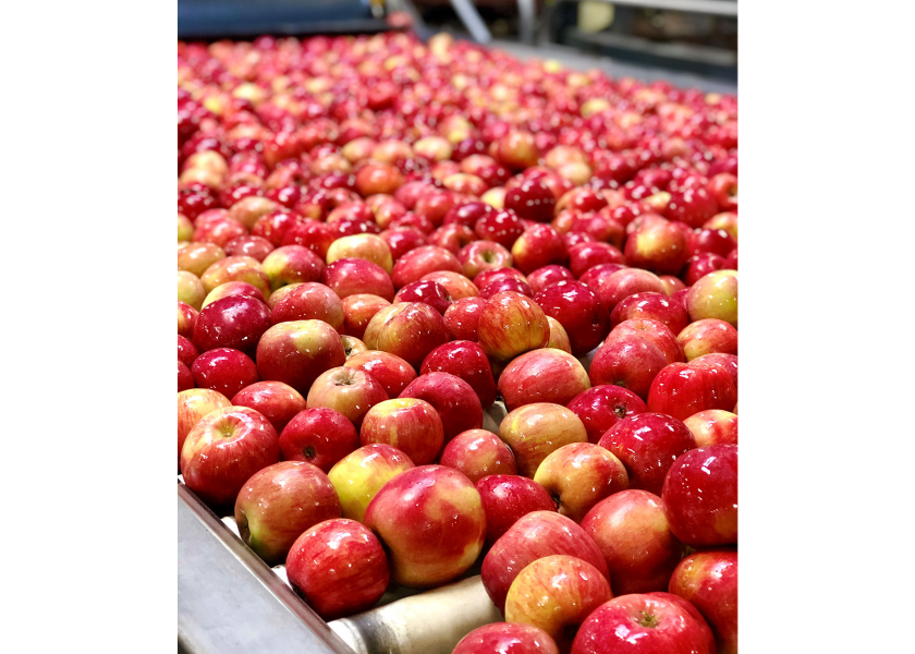 Washington Apple Commission to highlight Cosmic Crisp in export markets